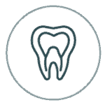 Root Canal Therapy icon