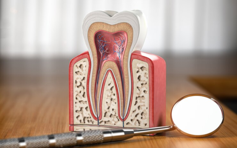 Signs of Root Canal Treatment