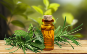 Essential Oils for Halitosis